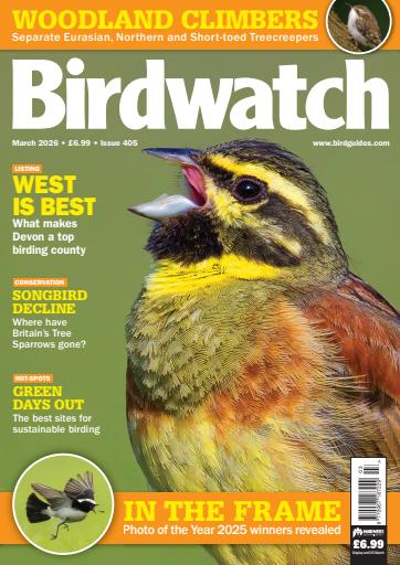 Birdwatch Magazine issue 
