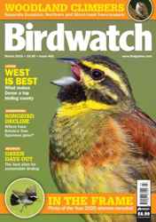 Birdwatch Magazine Complete Your Collection Cover 1