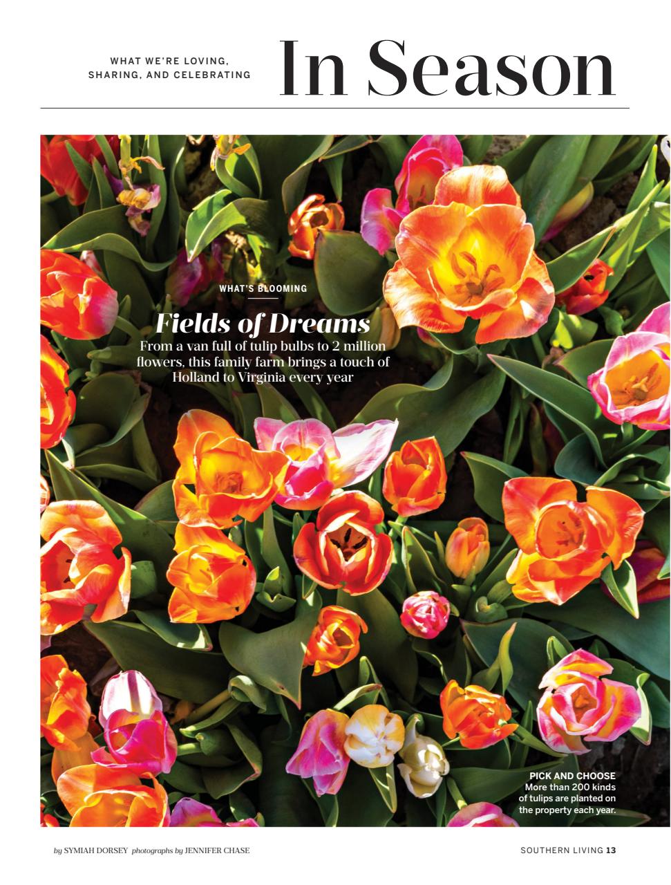 Southern Living Preview Pages