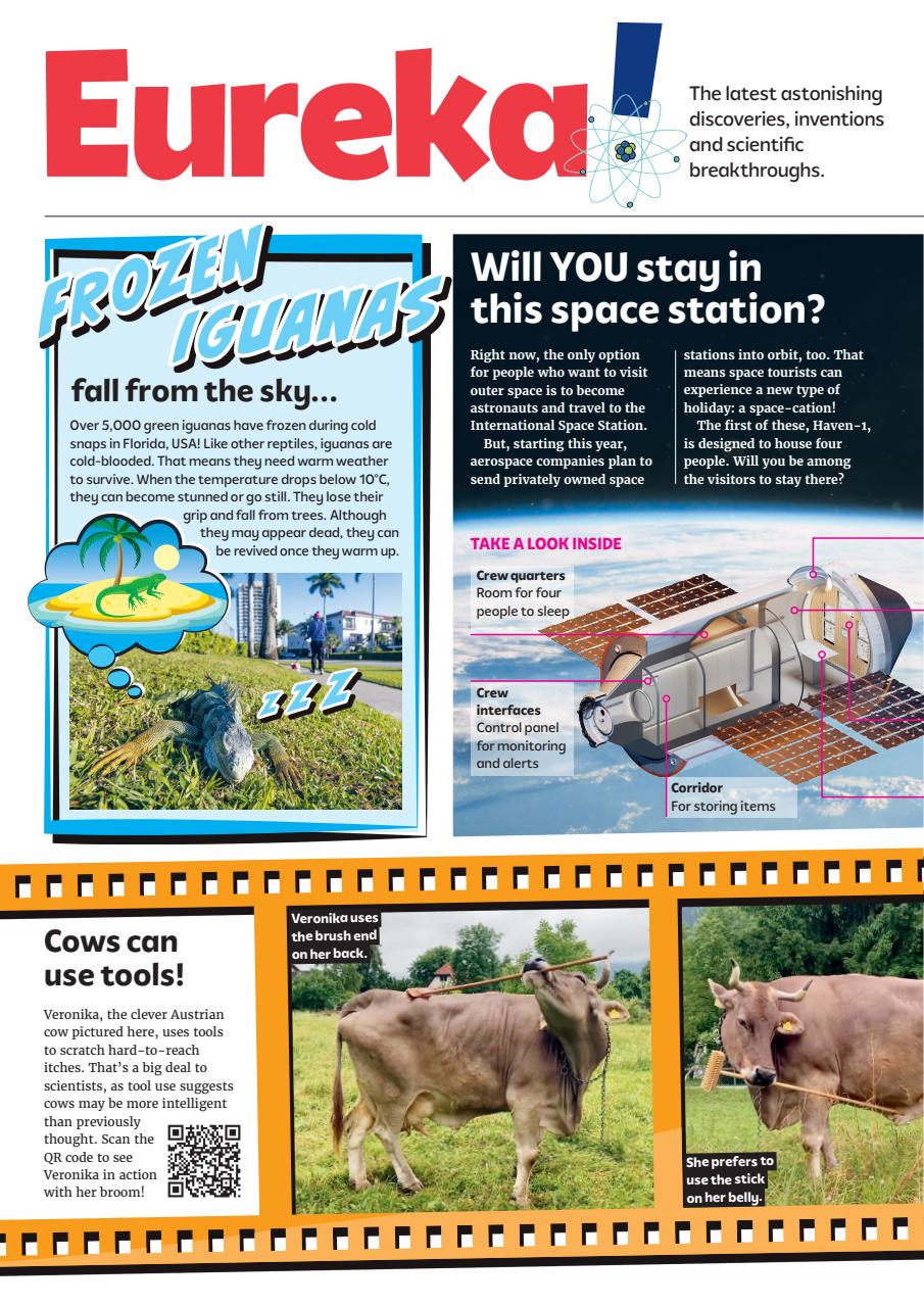 What on Earth! Magazine Preview Pages