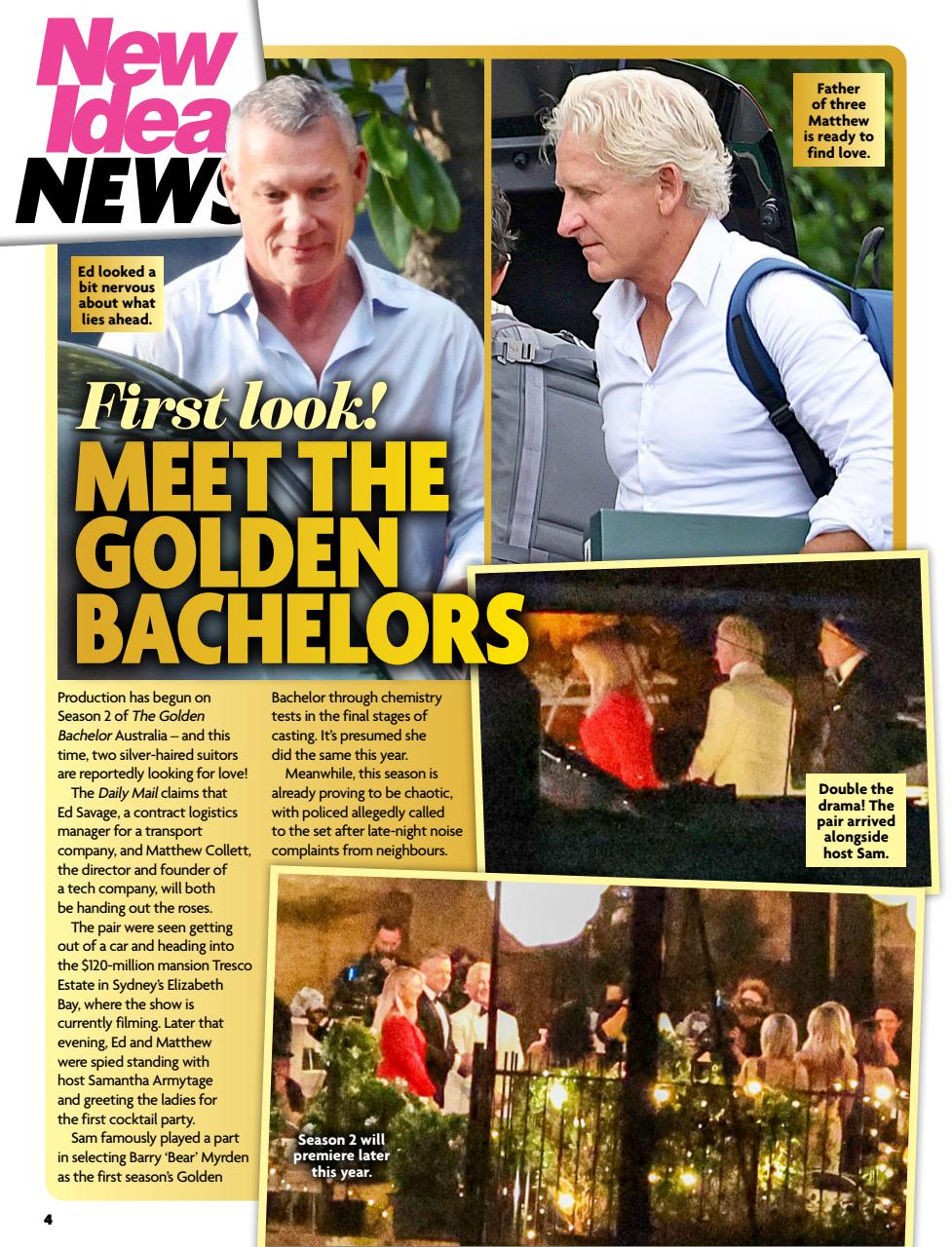 New Idea Preview Pages