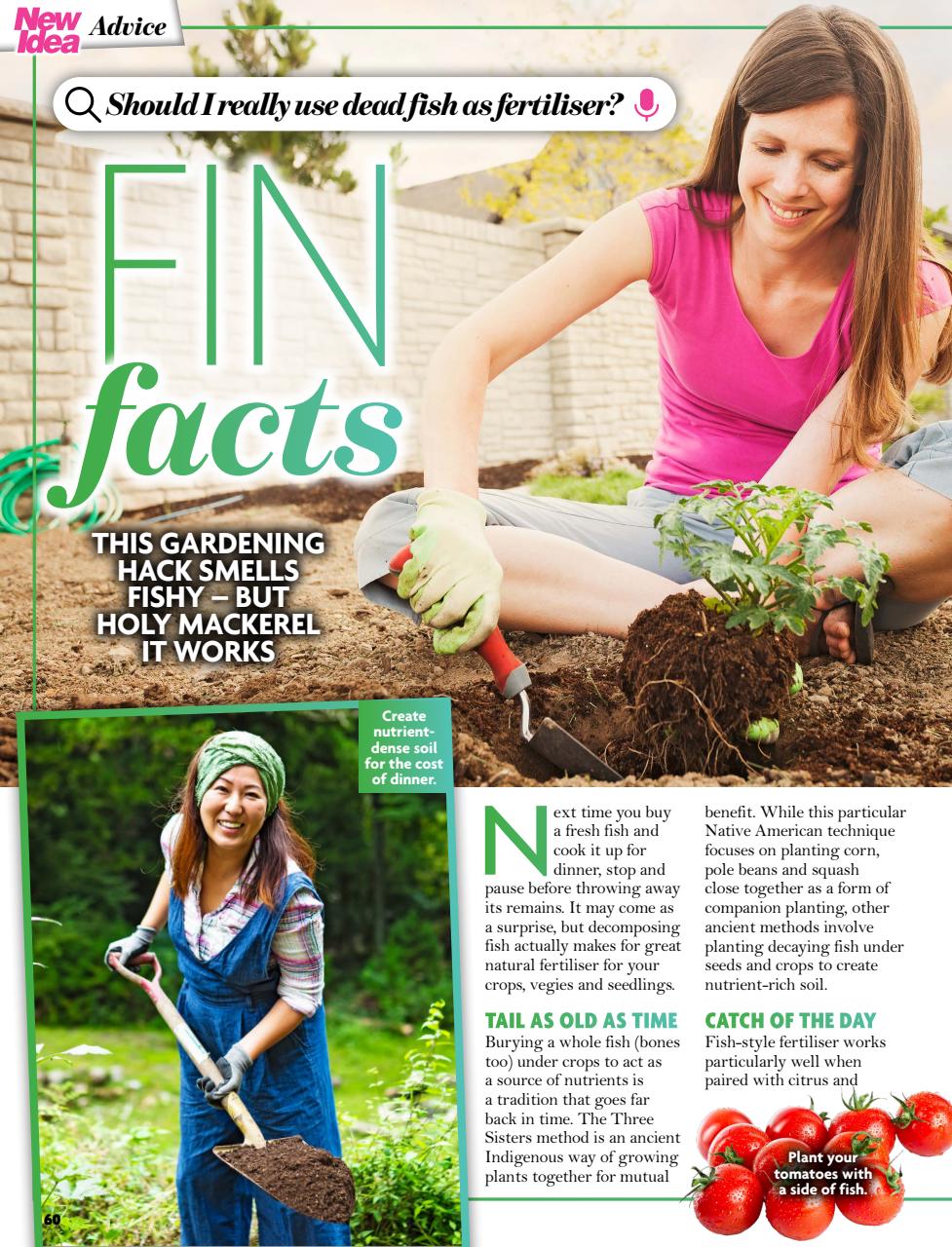 New Idea Preview Pages