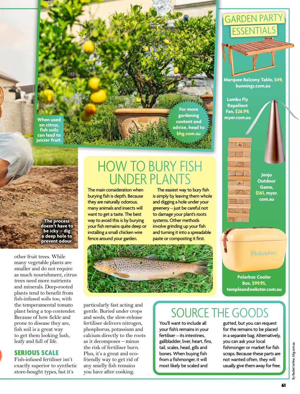 New Idea Preview Pages