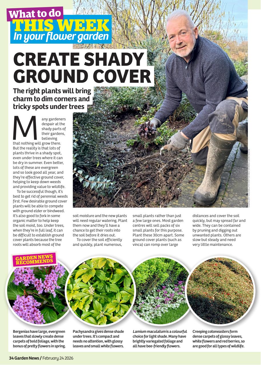 Garden News Preview Pages