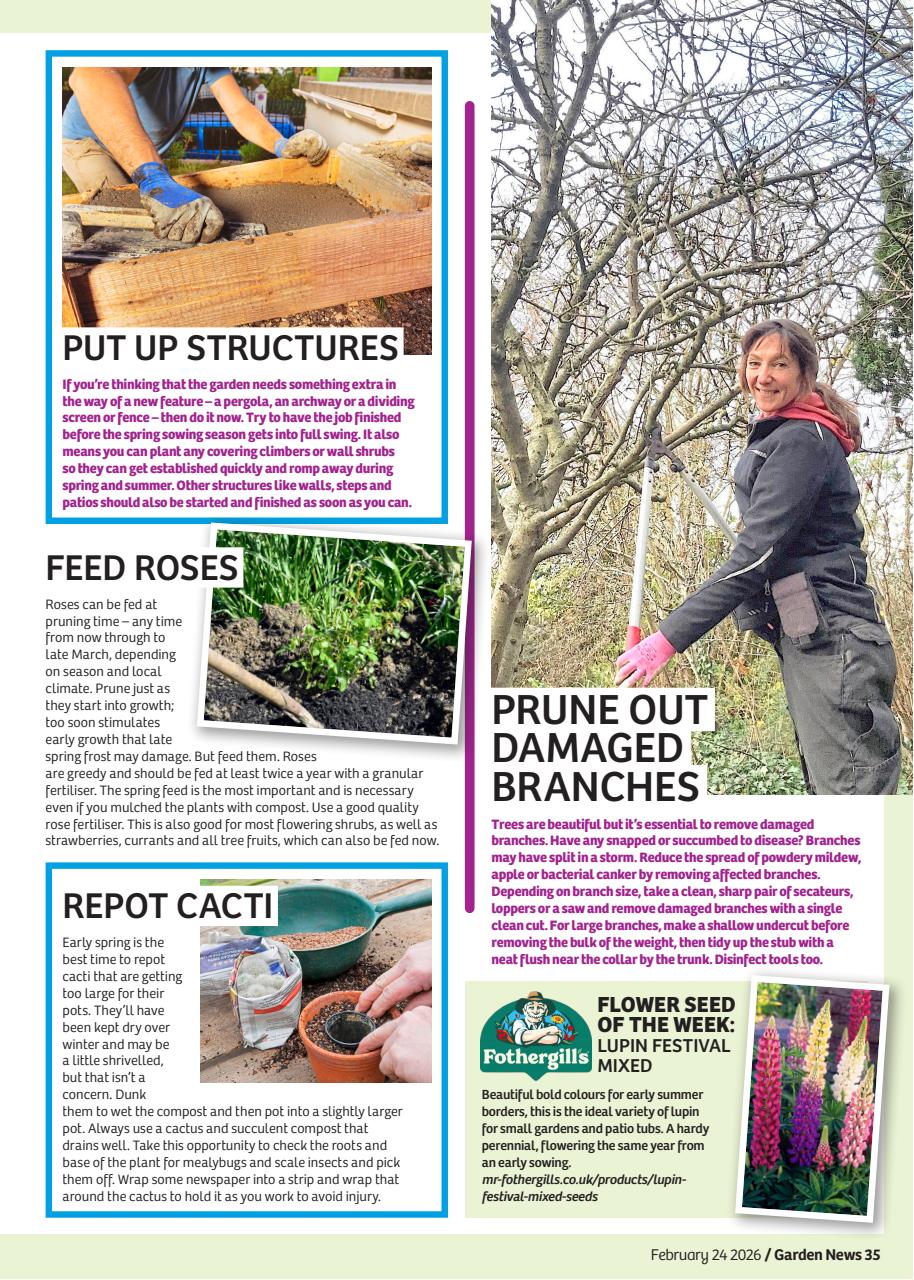 Garden News Preview Pages