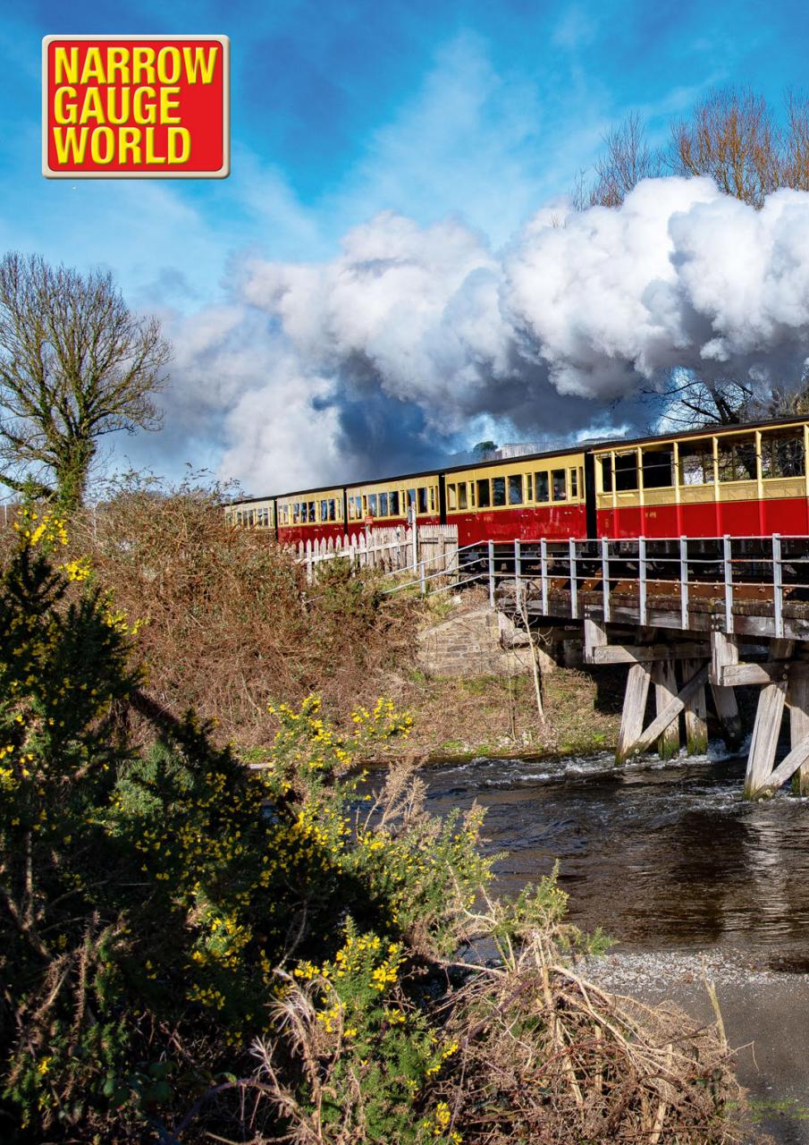 Narrow Gauge World Preview Pages