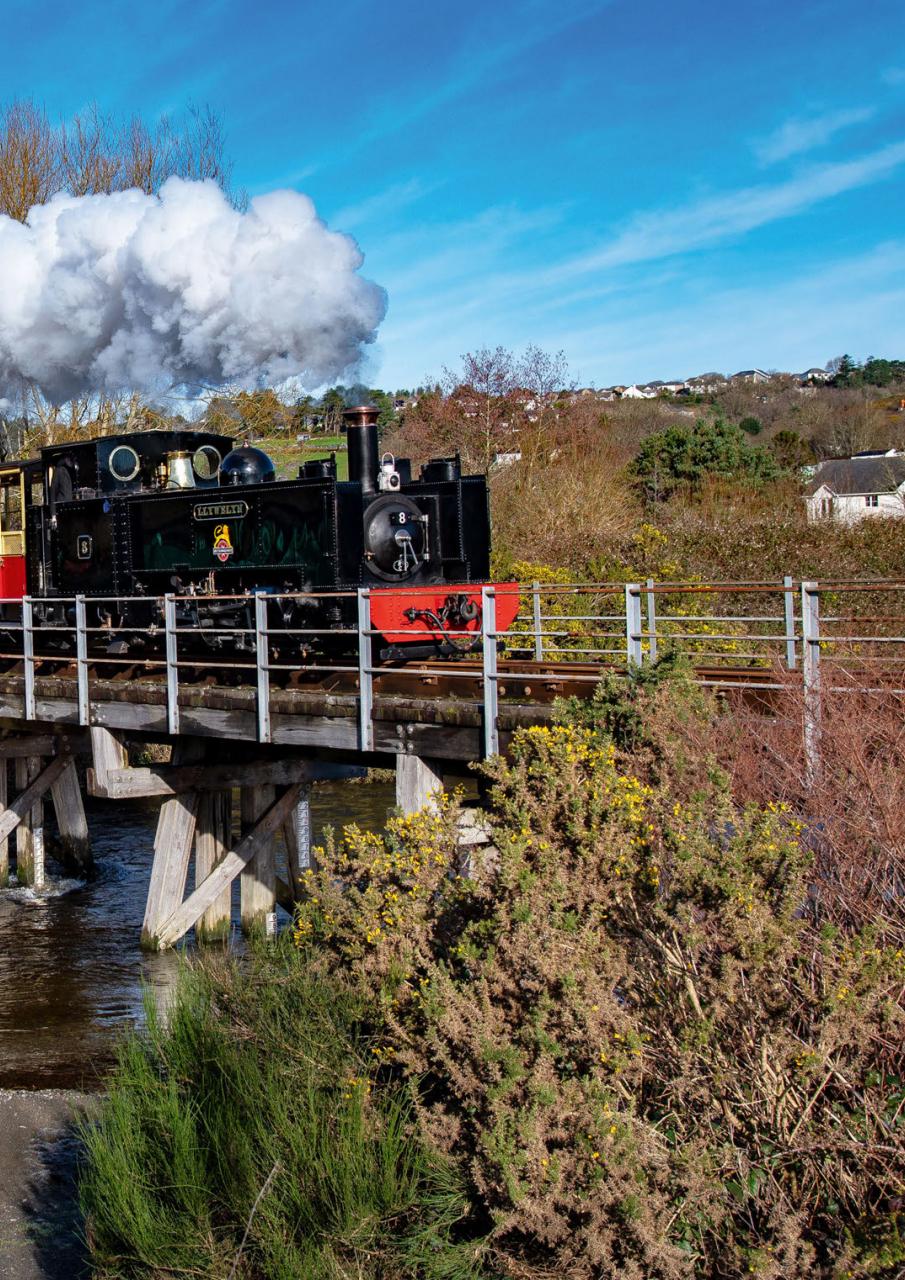 Narrow Gauge World Preview Pages