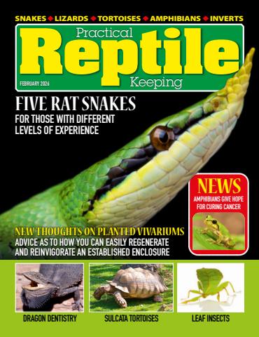 Practical Reptile Keeping issue February 2026