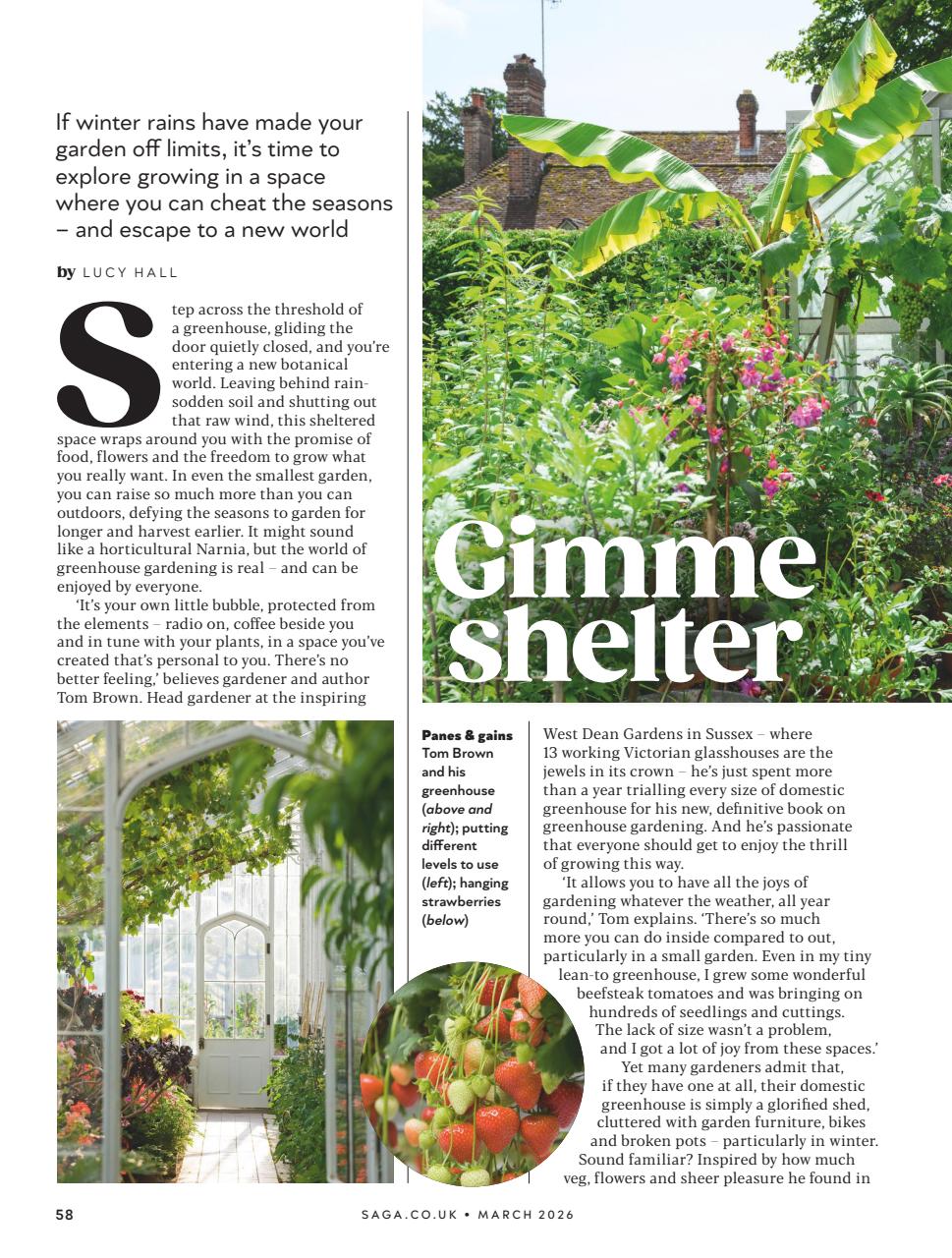 Saga Magazine Preview Pages