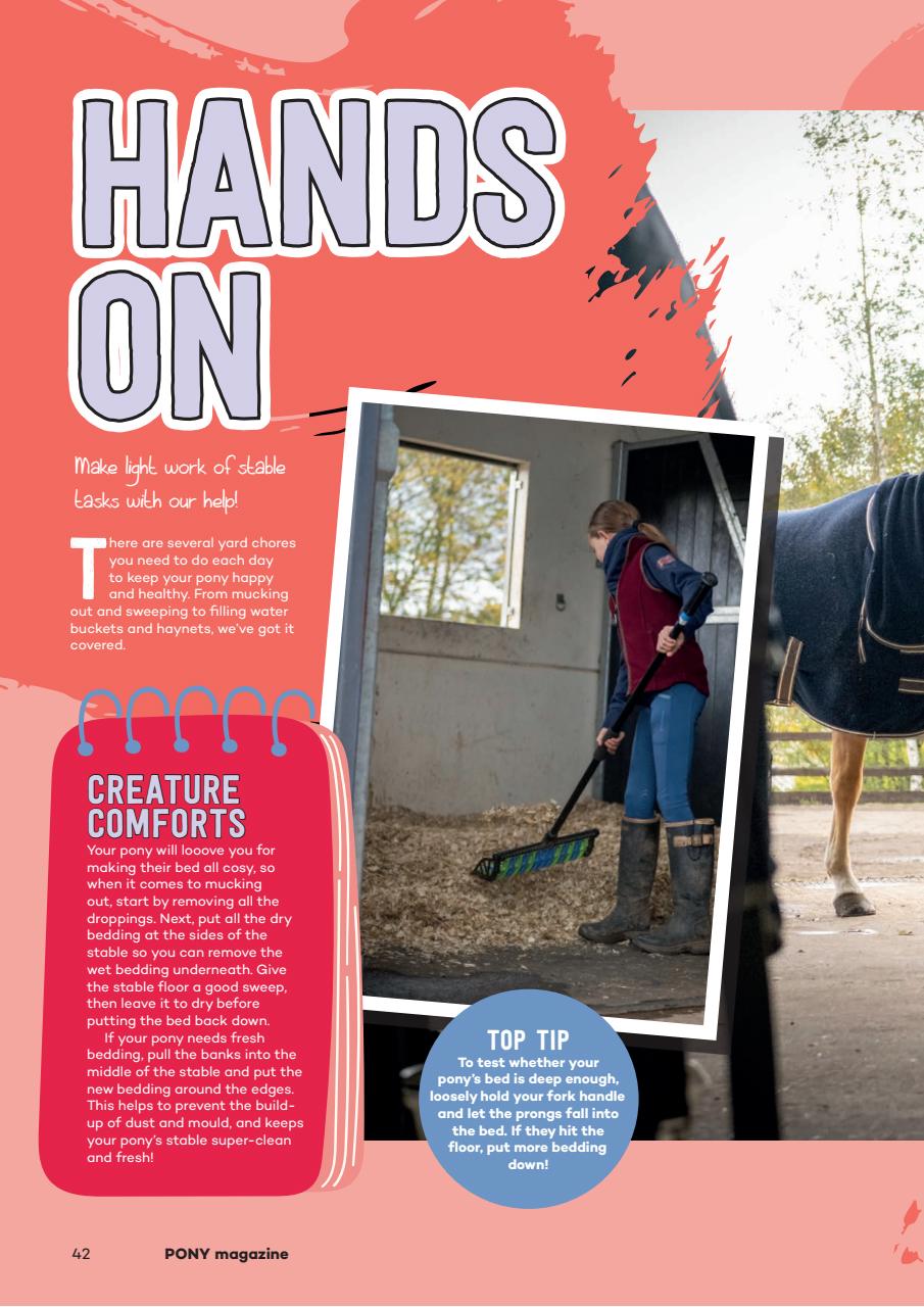 Pony Magazine Preview Pages