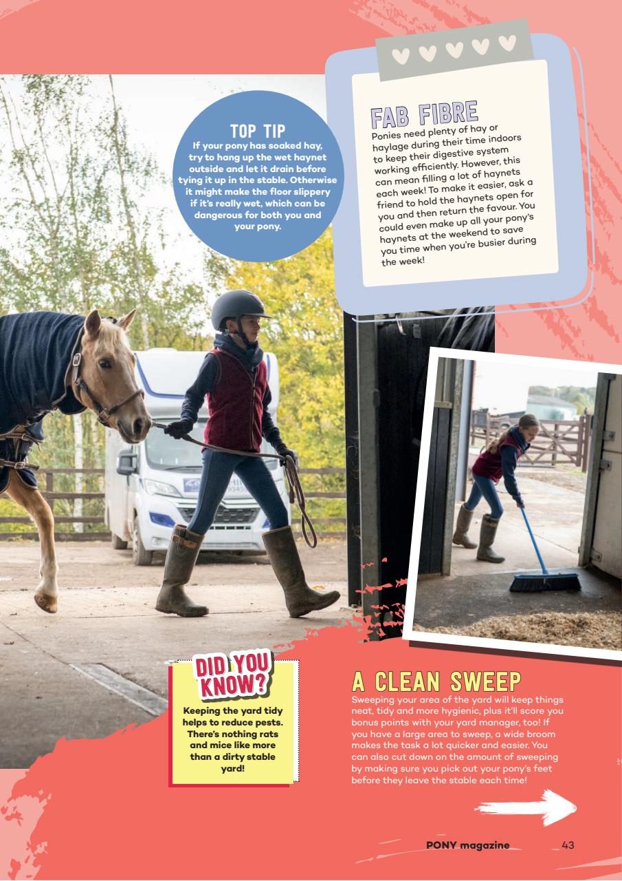 Pony Magazine Preview Pages