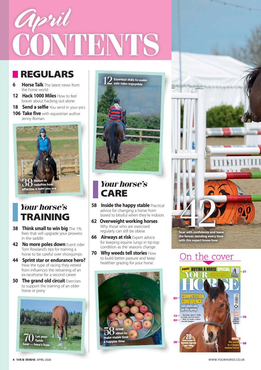 Your Horse Preview Pages