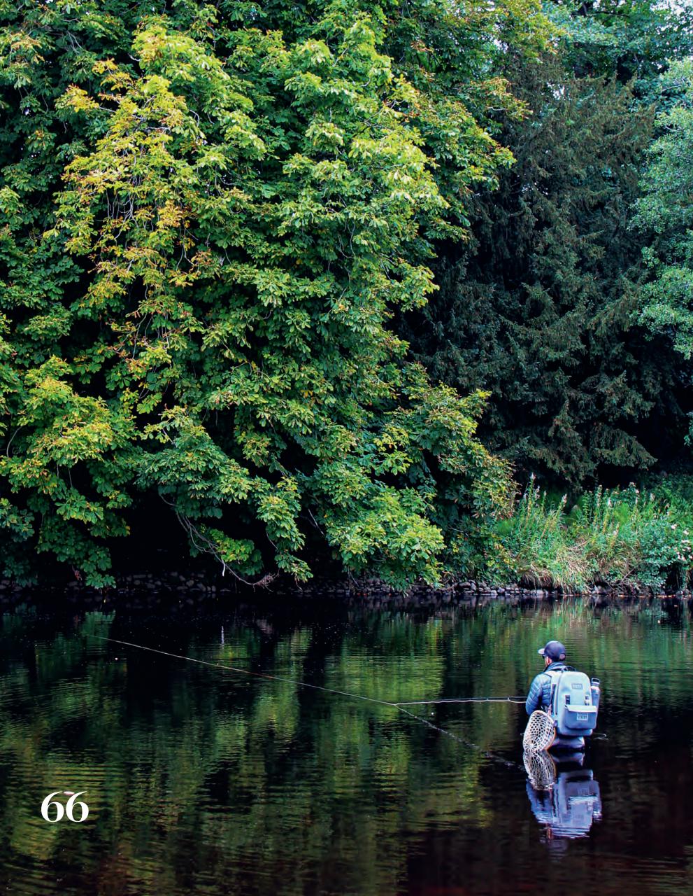 Trout & Salmon Preview Pages