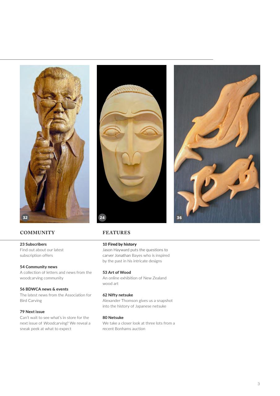 Woodcarving Preview Pages