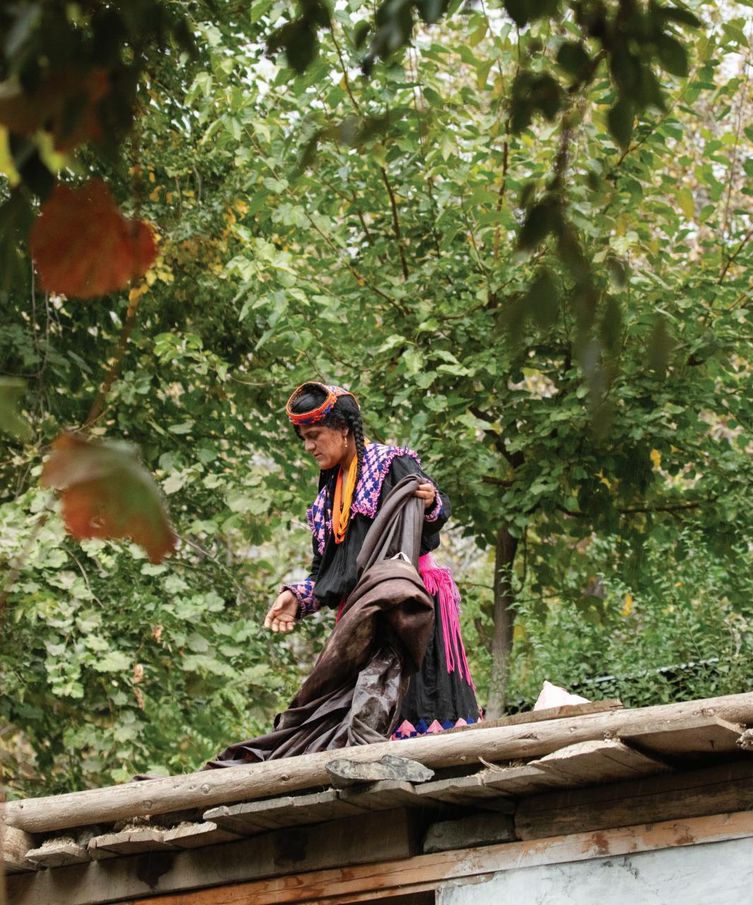 Wine Enthusiast Preview Pages