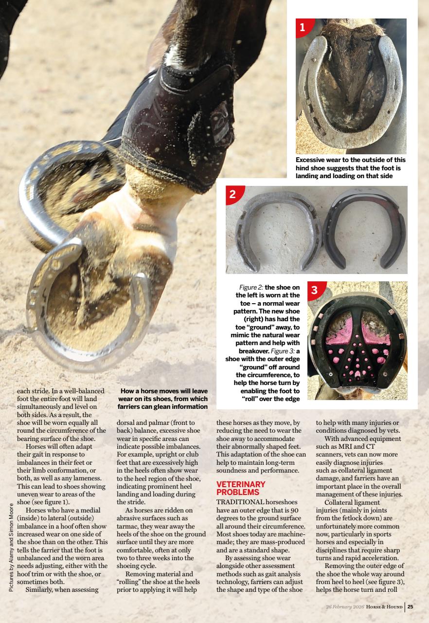 Horse & Hound Preview Pages