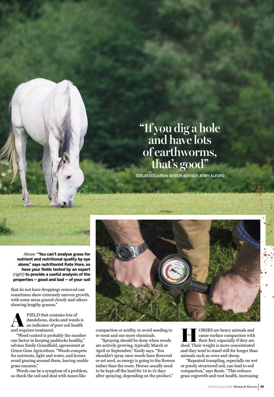 Horse & Hound Preview Pages