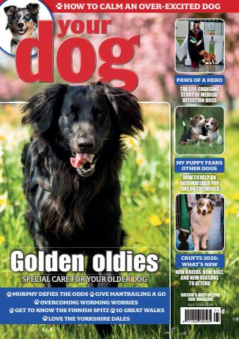 Your Dog issue Your Dog - April 2026
