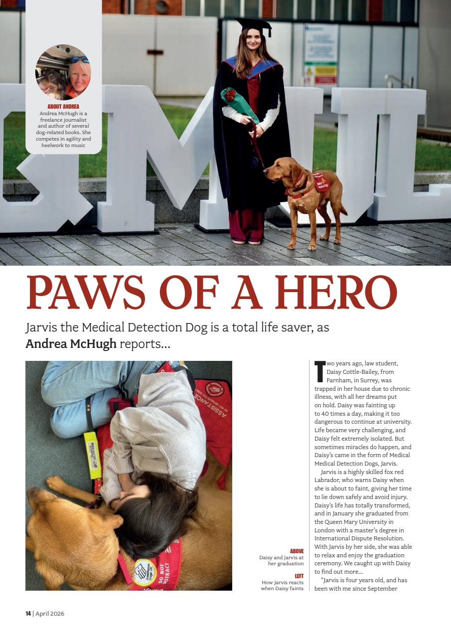 Your Dog Preview Pages