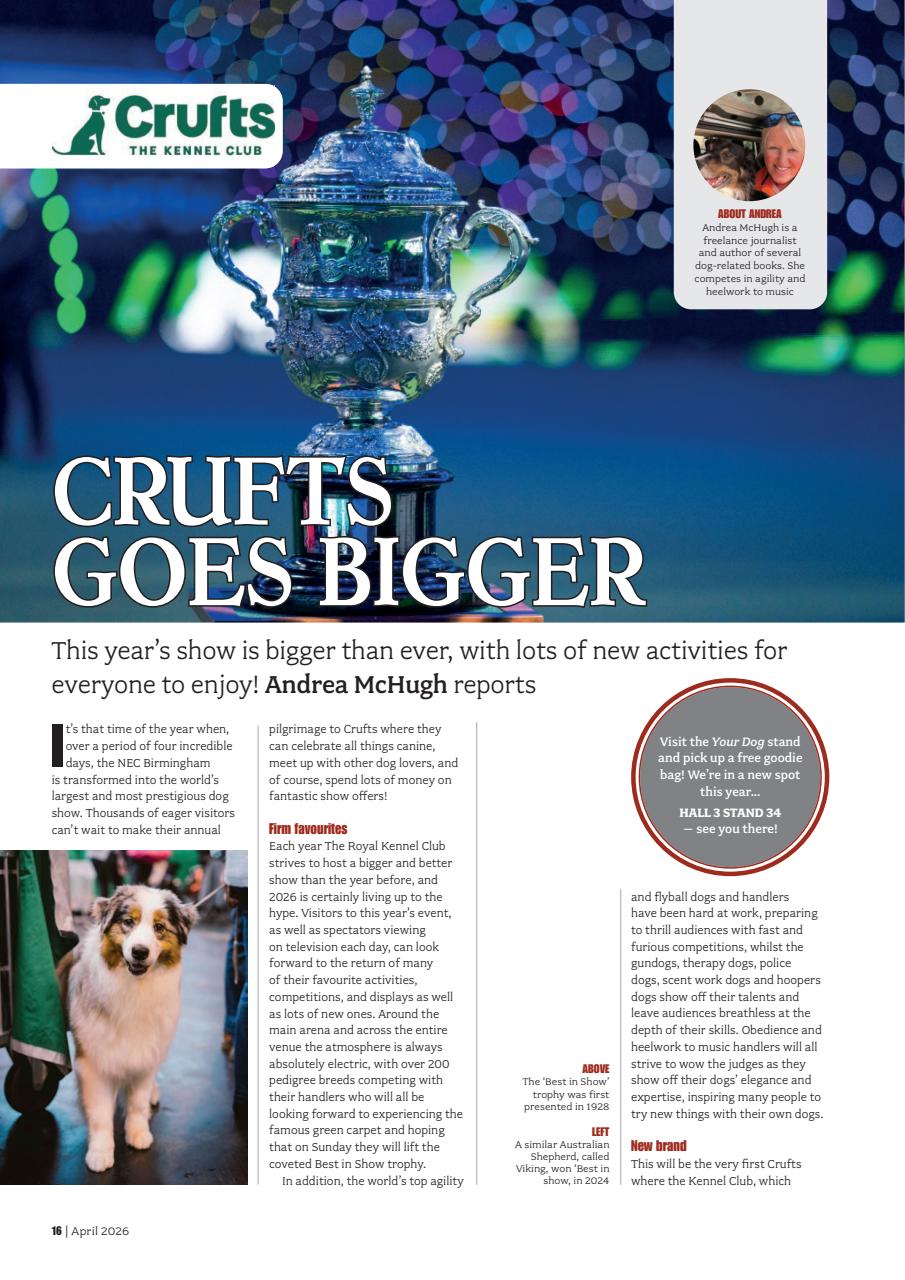 Your Dog Preview Pages