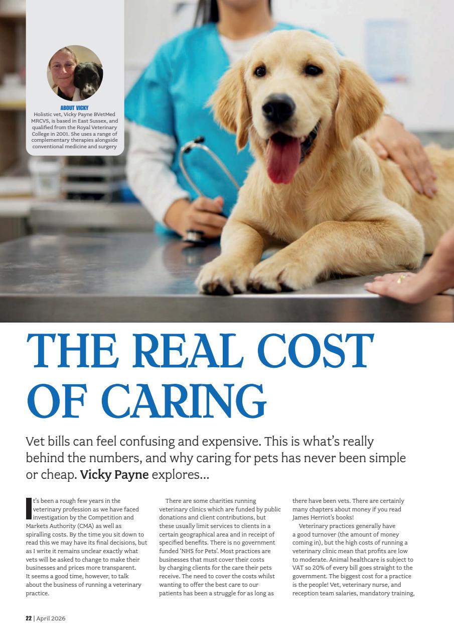 Your Dog Preview Pages