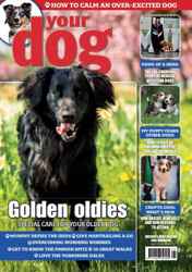 Your Dog Complete Your Collection Cover 1