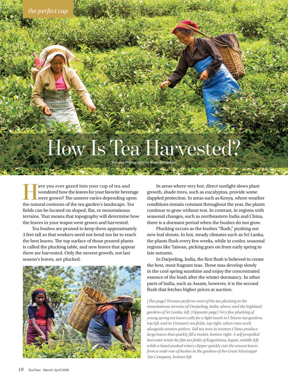 TeaTime Preview Pages