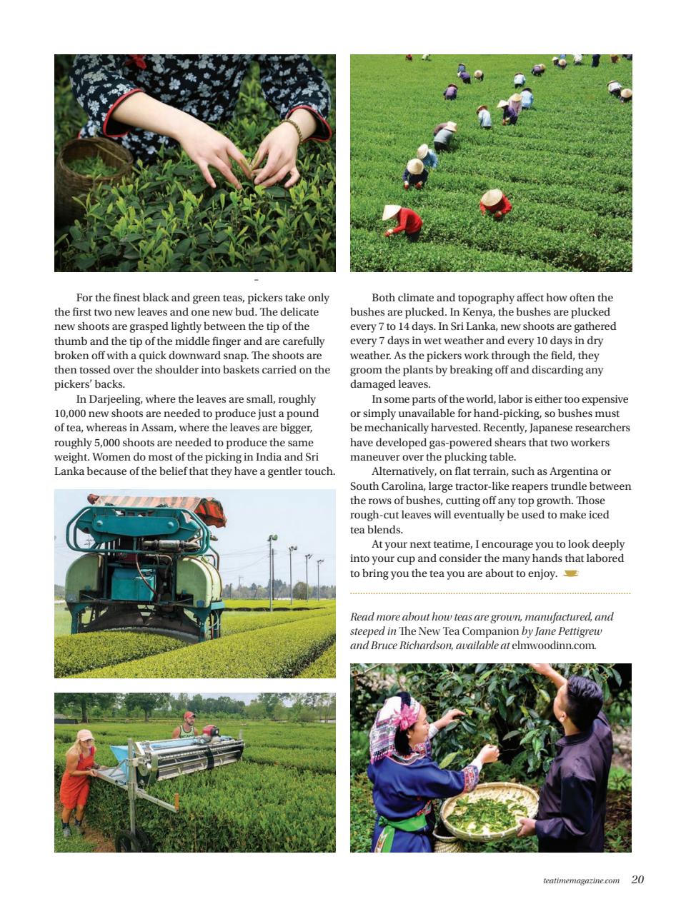 TeaTime Preview Pages