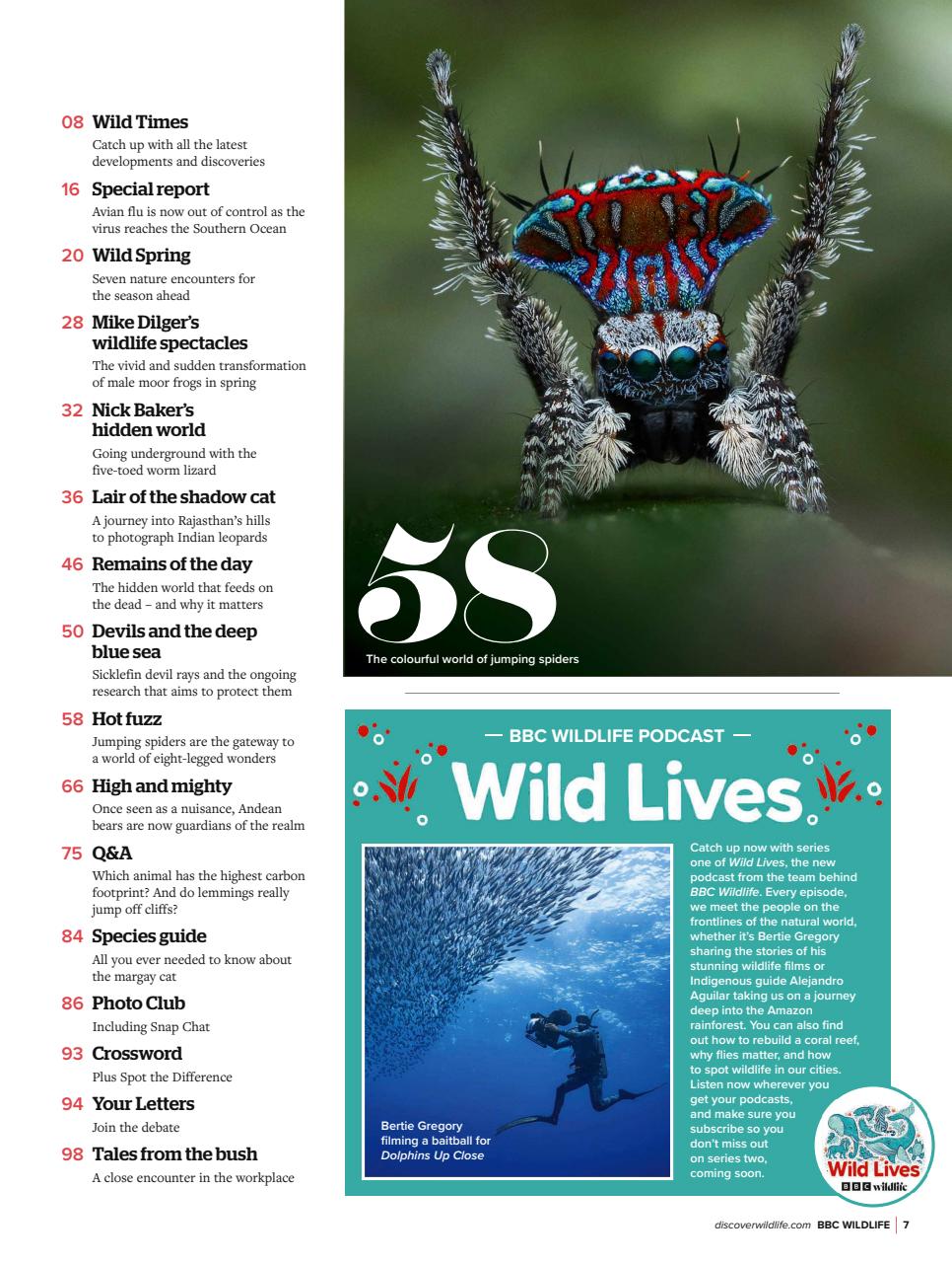 BBC Wildlife Magazine Preview Pages