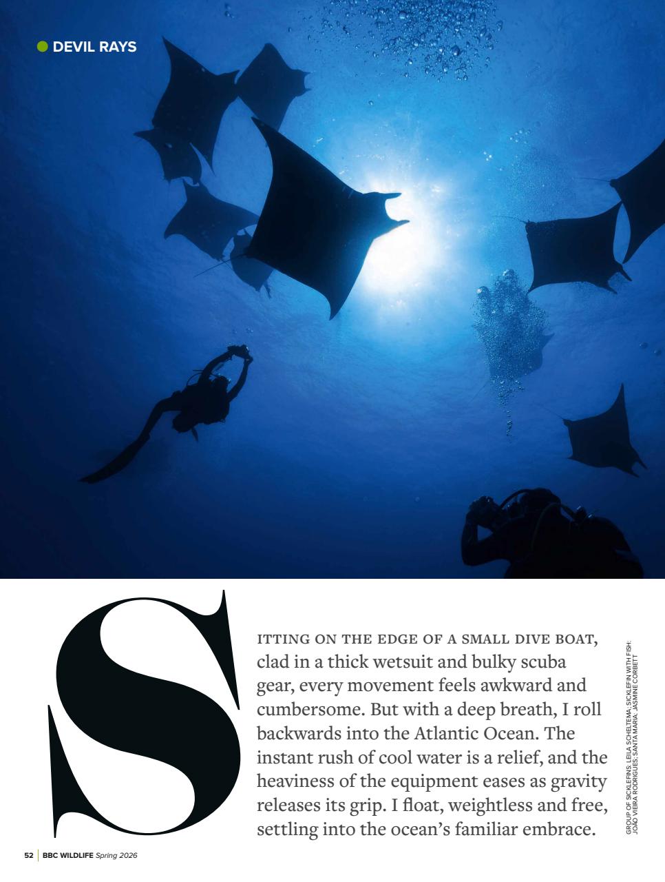 BBC Wildlife Magazine Preview Pages