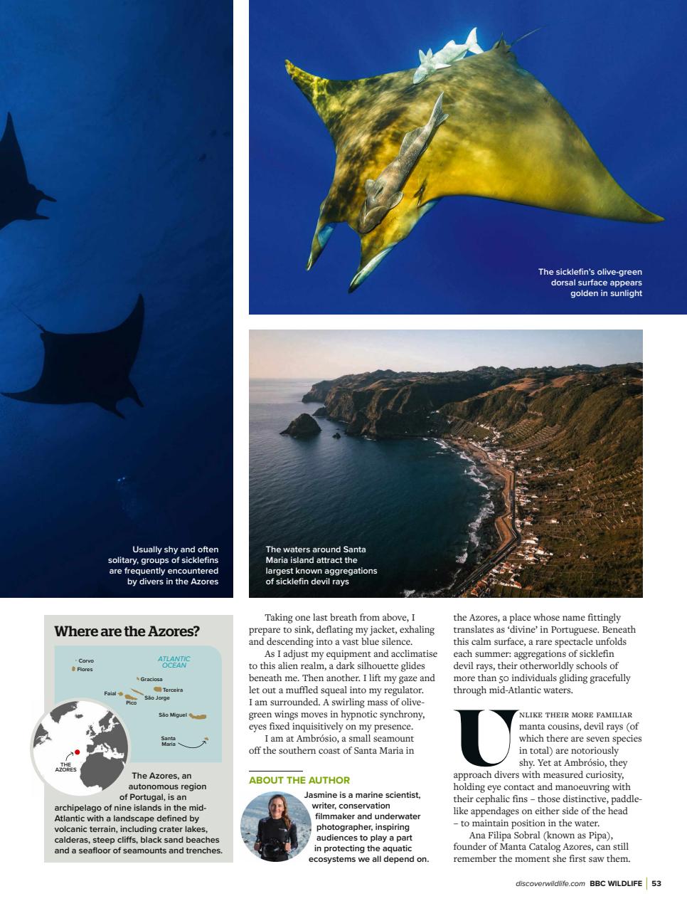 BBC Wildlife Magazine Preview Pages
