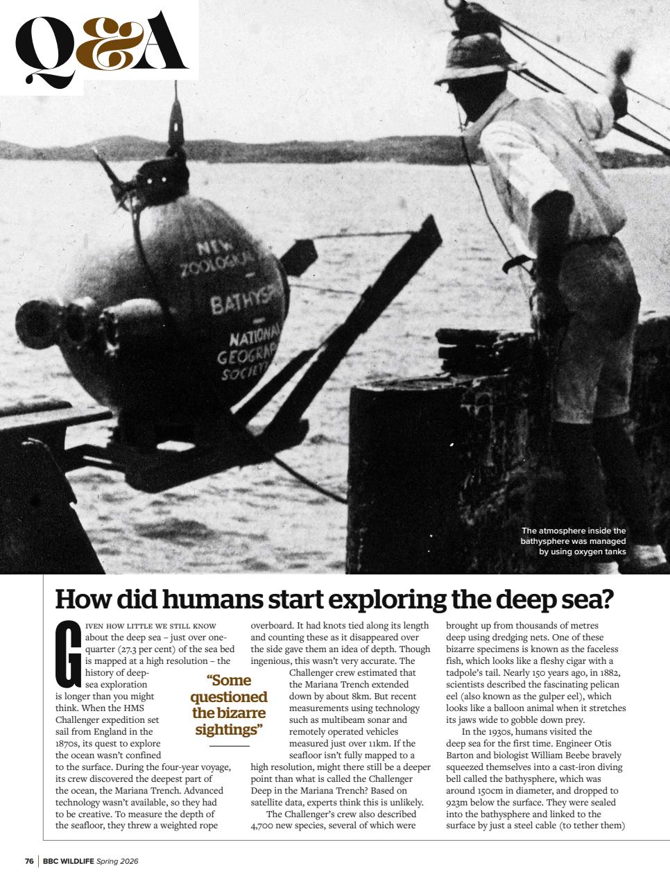 BBC Wildlife Magazine Preview Pages