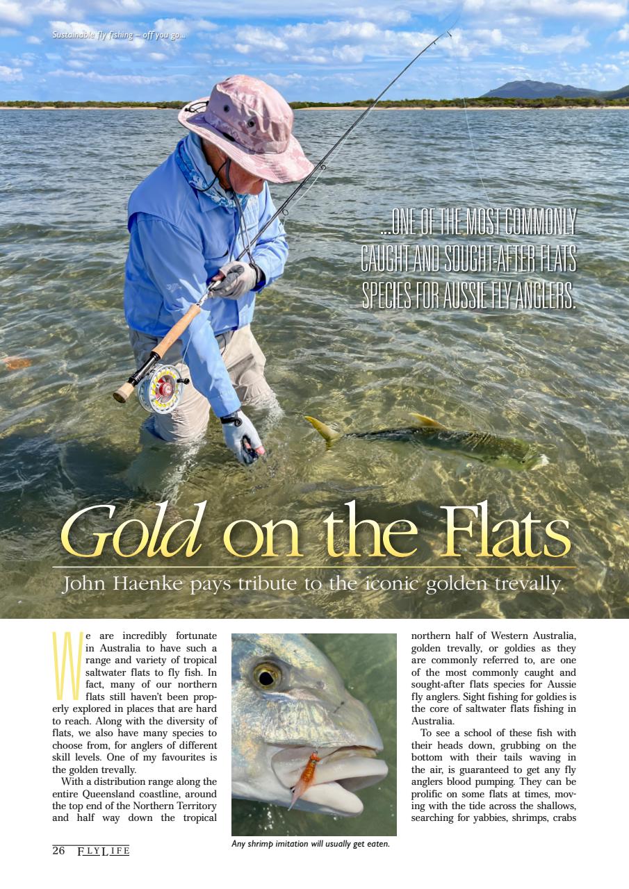 FlyLife Preview Pages