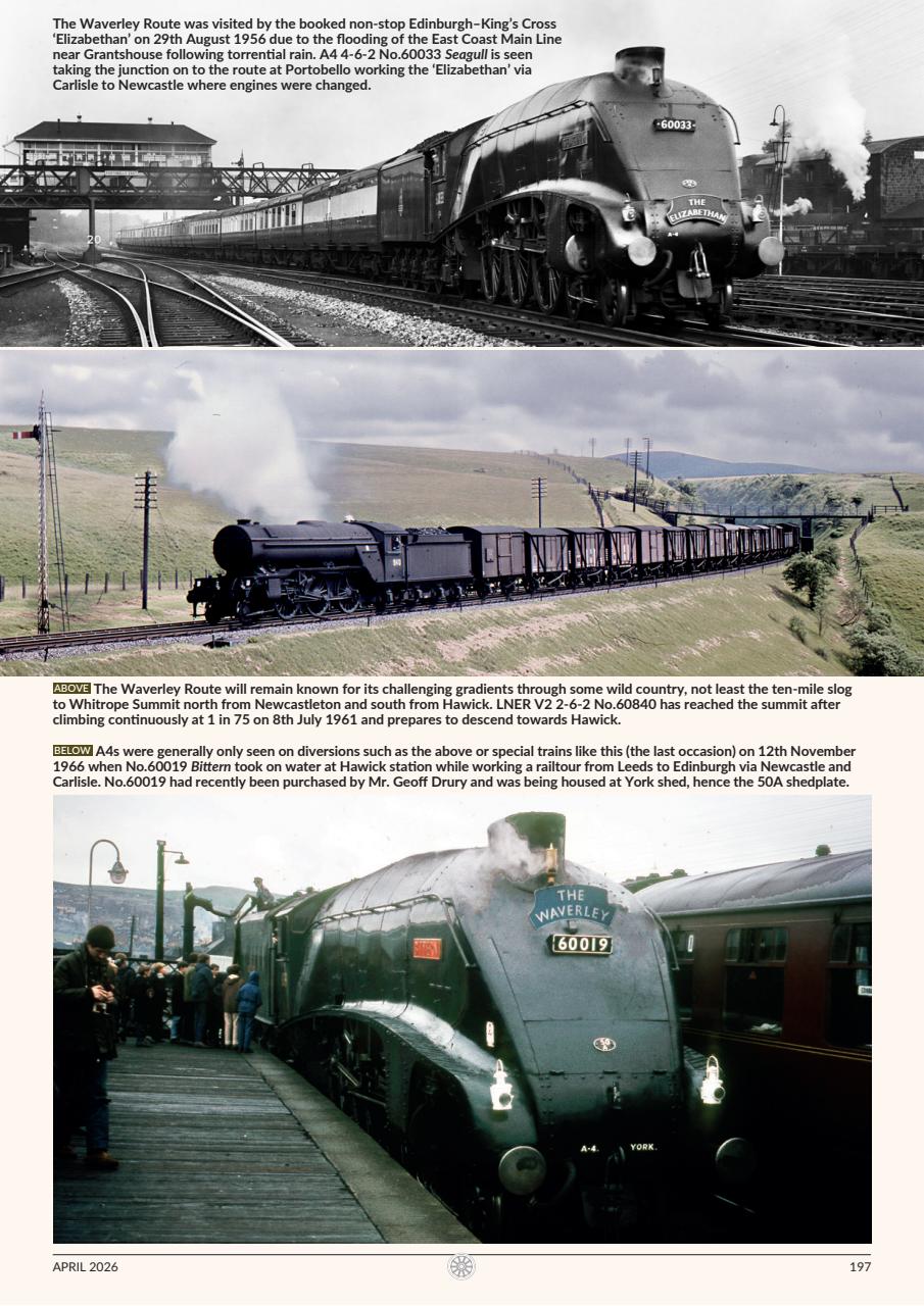 Backtrack Preview Pages