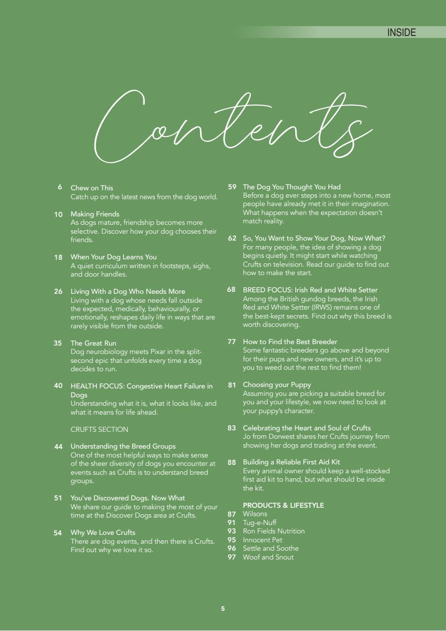 Edition Dog Preview Pages