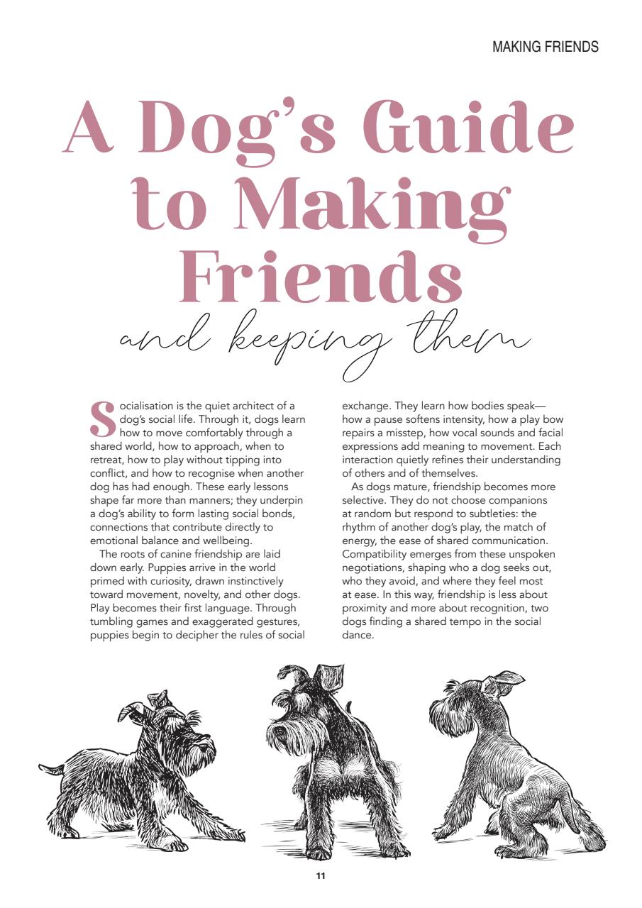 Edition Dog Preview Pages