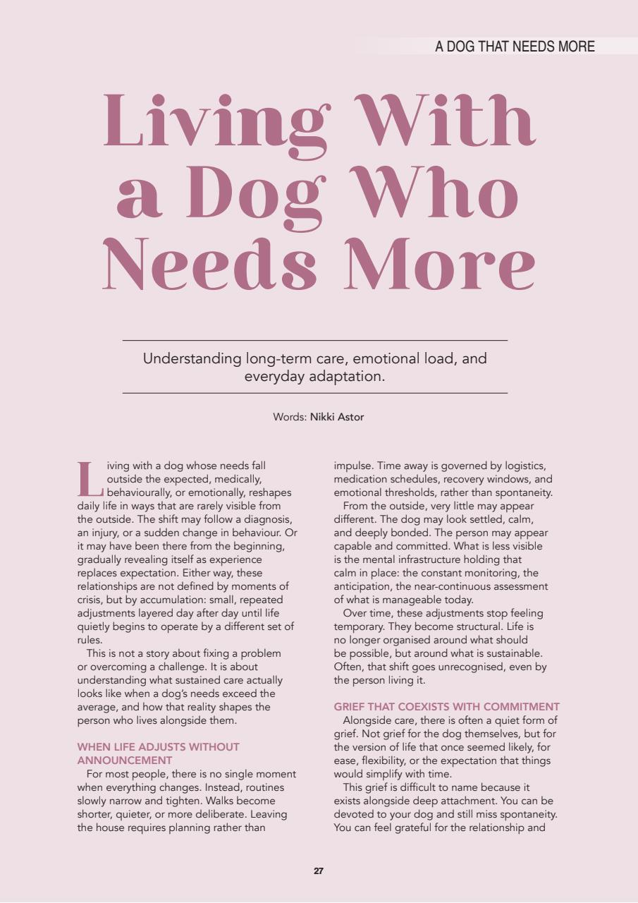 Edition Dog Preview Pages