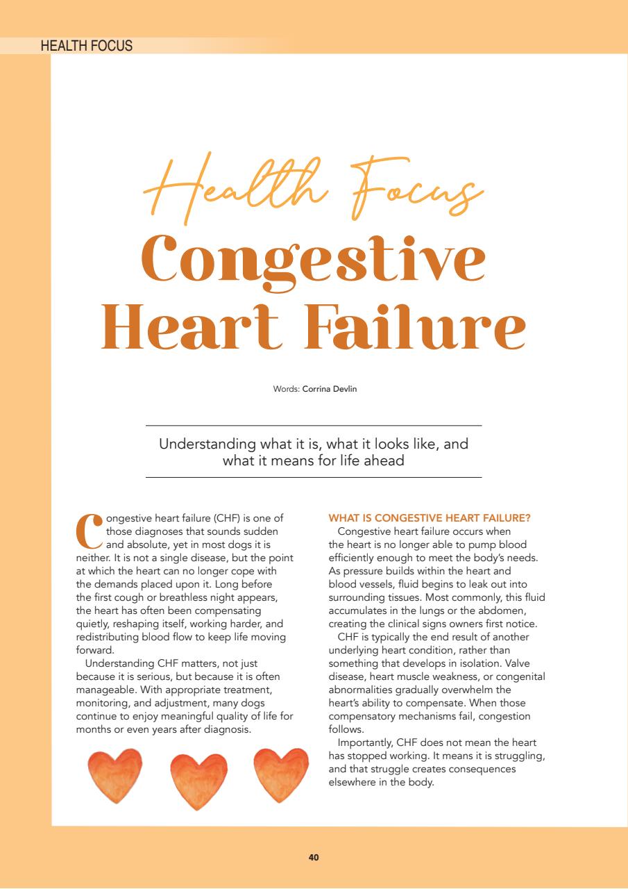 Edition Dog Preview Pages