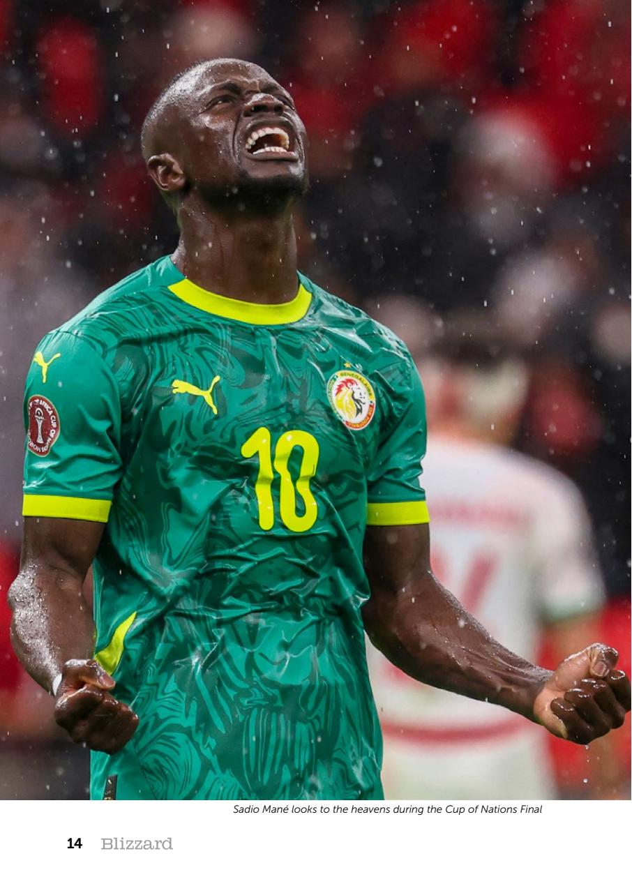 The Blizzard Preview Pages