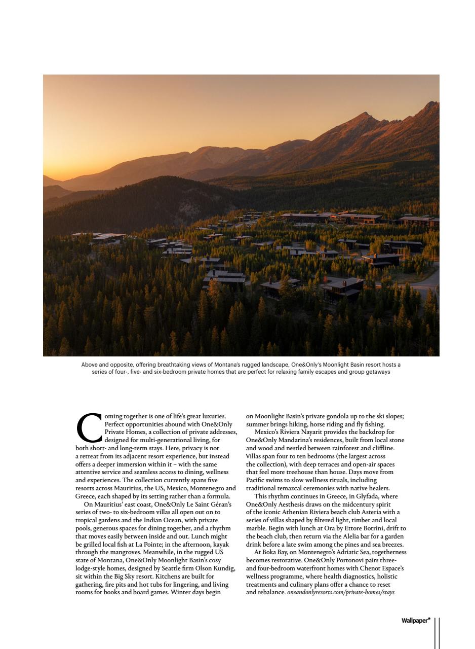 Wallpaper* Preview Pages