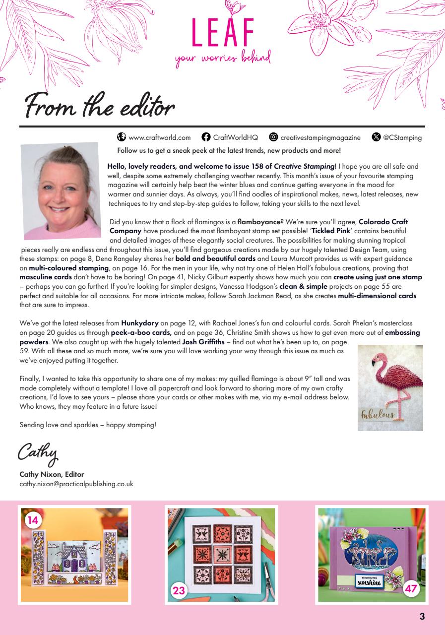 Creative Stamping Preview Pages