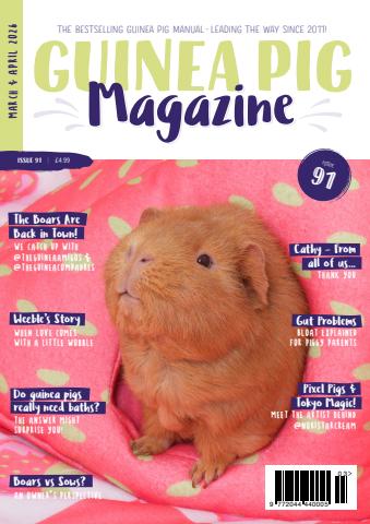 Guinea Pig Magazine issue Issue 91 (Mar/Apr)