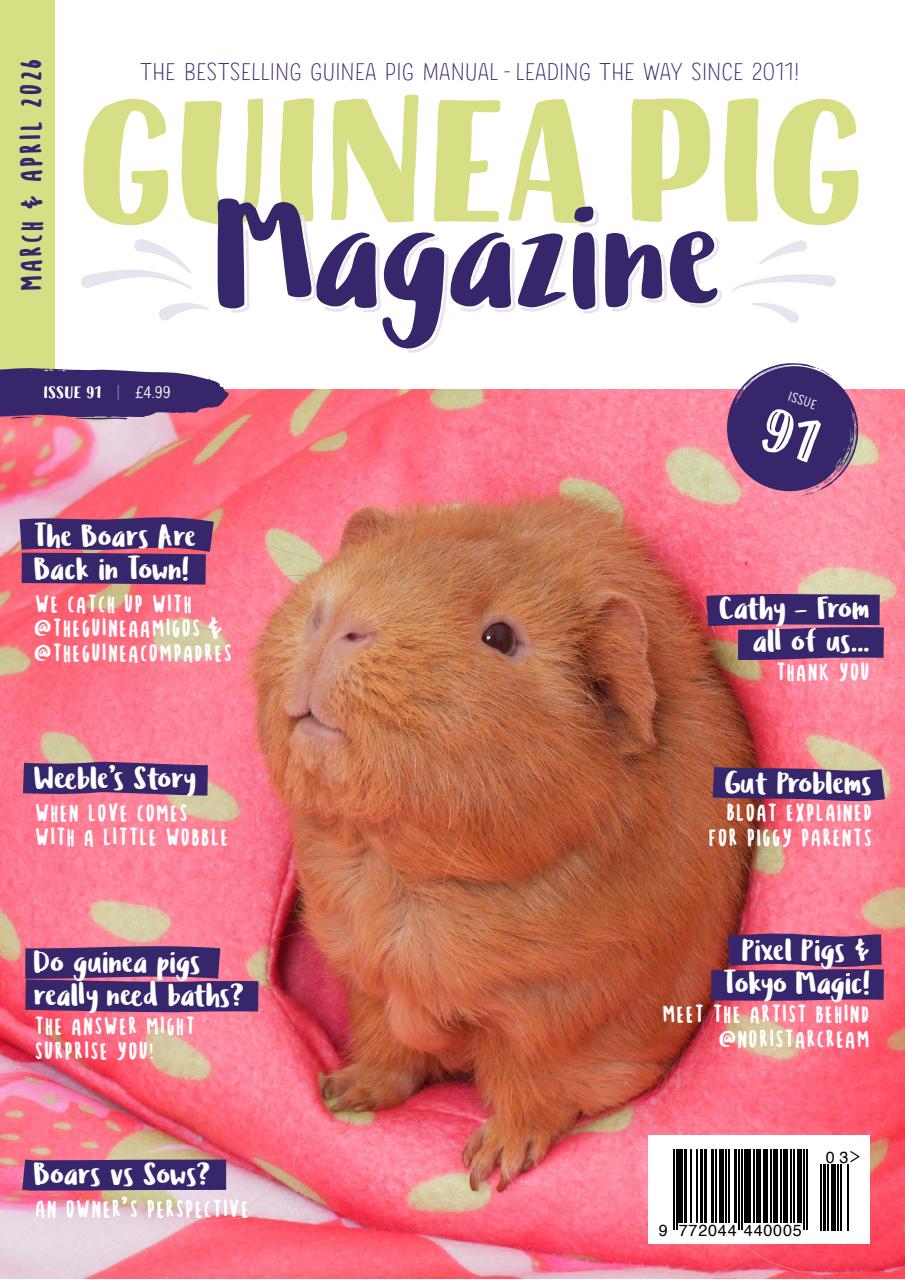 Guinea Pig Magazine Preview Pages