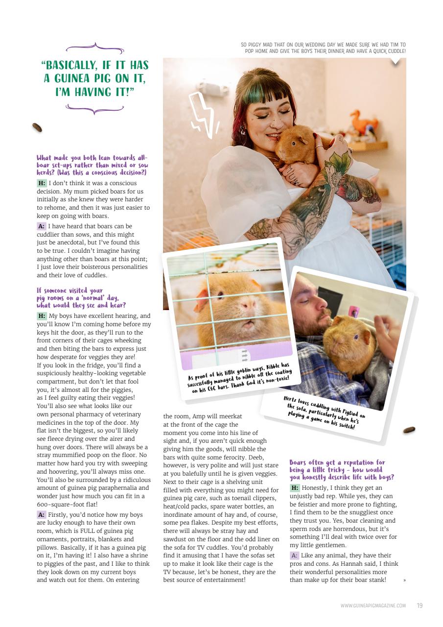 Guinea Pig Magazine Preview Pages