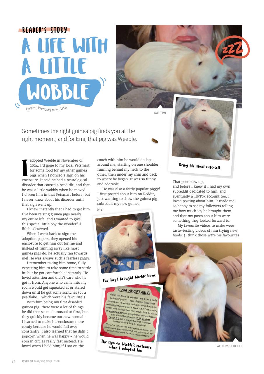 Guinea Pig Magazine Preview Pages