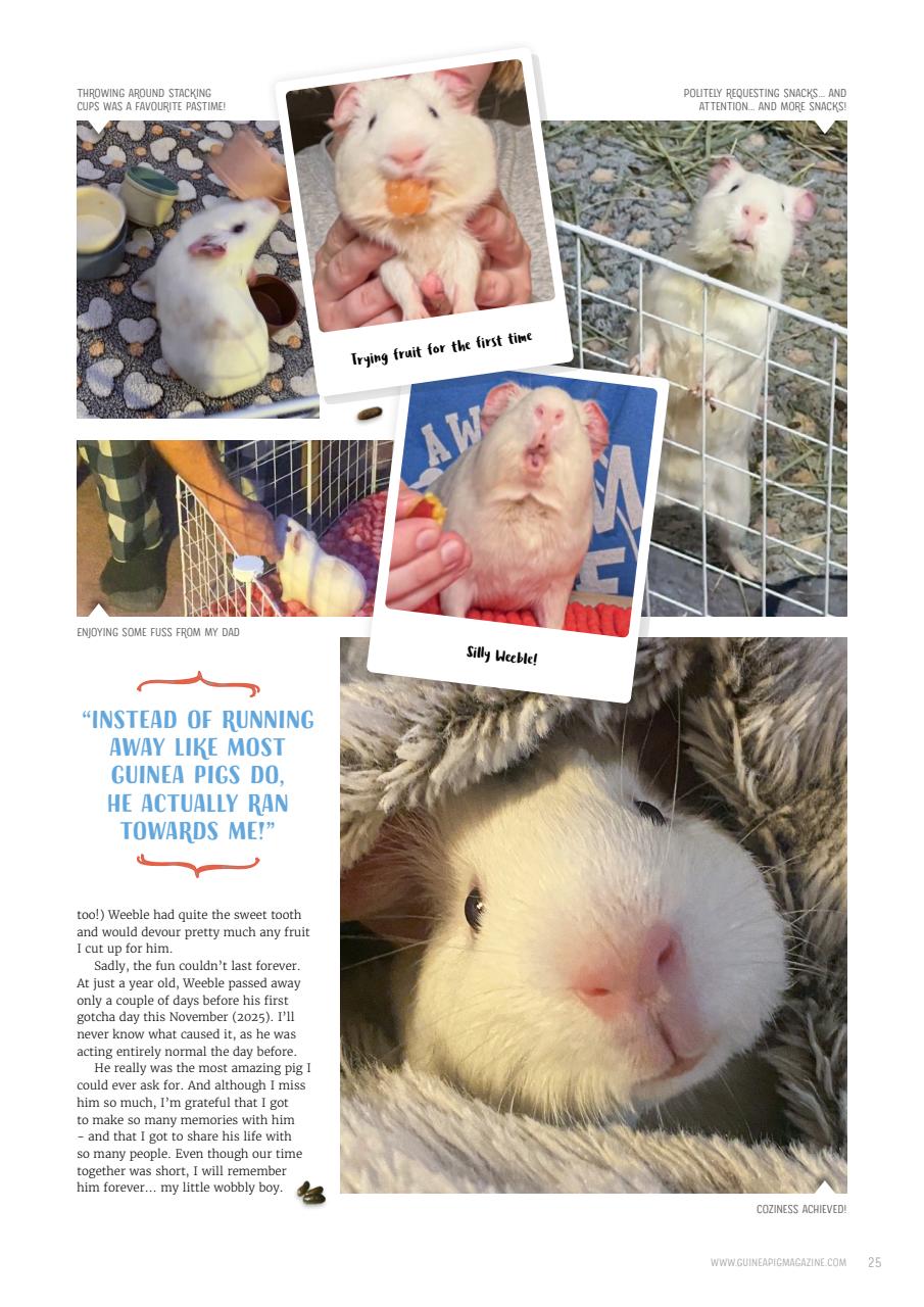 Guinea Pig Magazine Preview Pages
