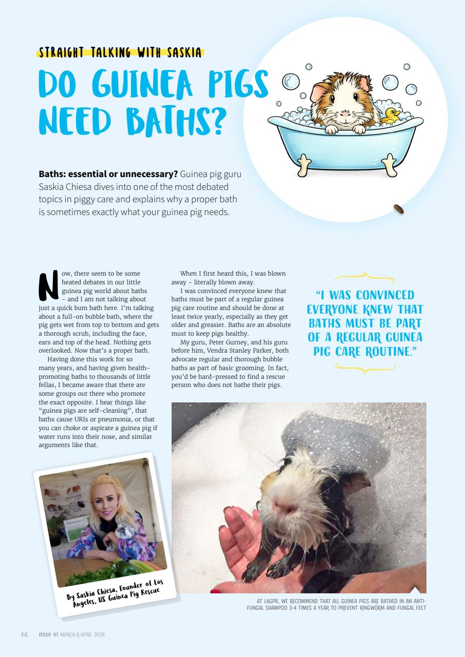 Guinea Pig Magazine Preview Pages