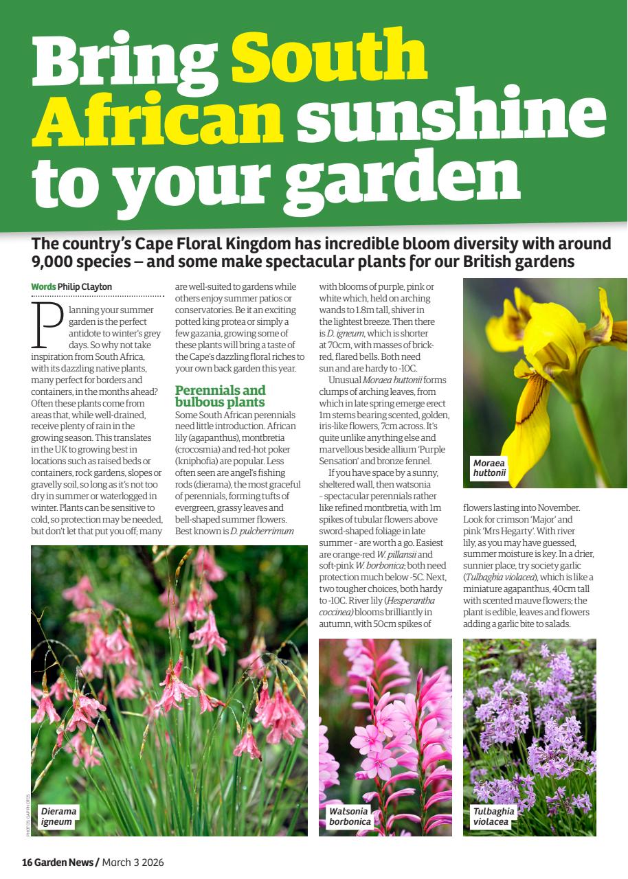 Garden News Preview Pages