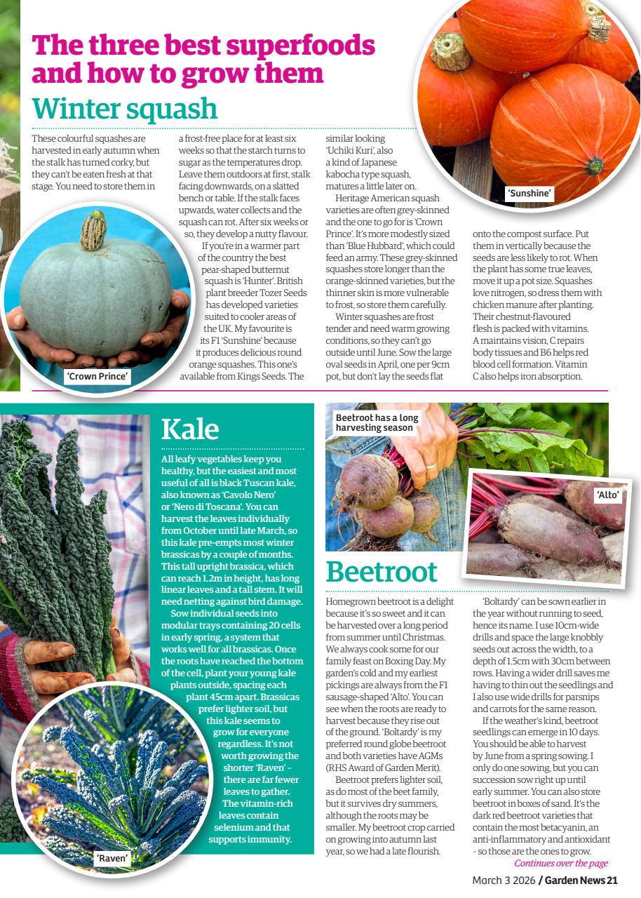 Garden News Preview Pages