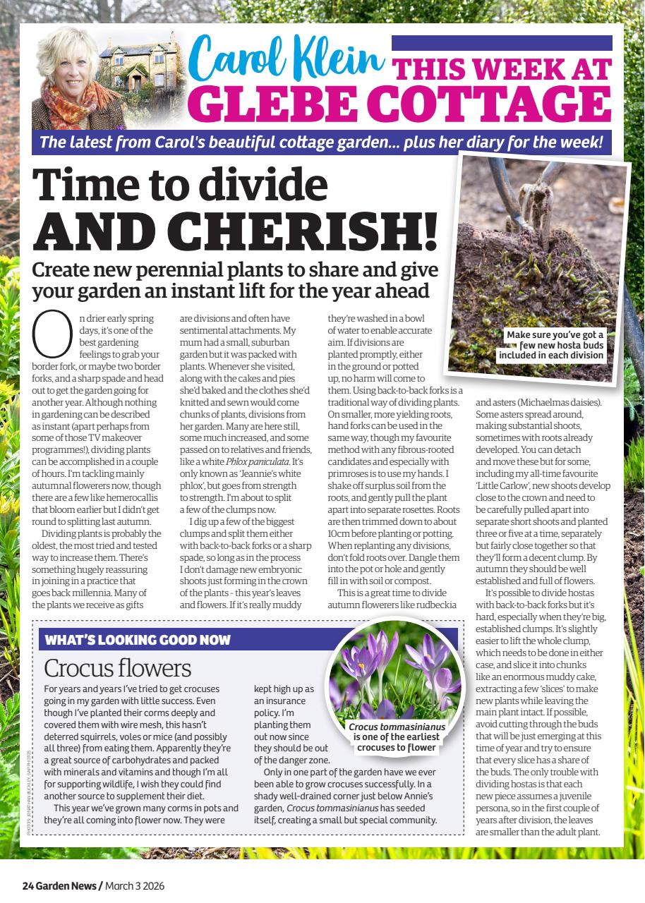 Garden News Preview Pages